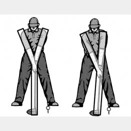 イラスト・ドラゴン２