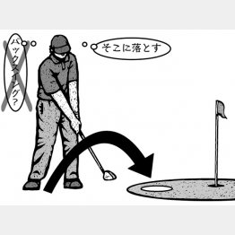 イラスト・ドラゴン２