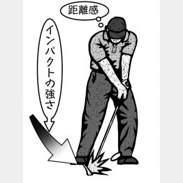 （イラスト・ドラゴン２）