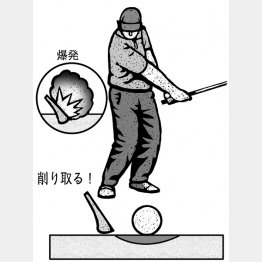 イラスト・ドラゴン２