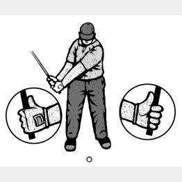 イラスト・ドラゴン２