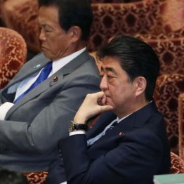 世間の常識は通用しない（Ｃ）日刊ゲンダイ