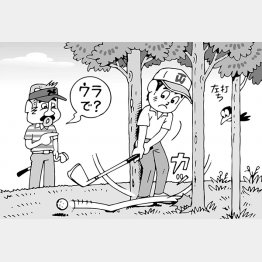 （イラスト・小山混）