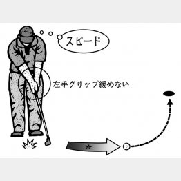 イラスト・ドラゴン２