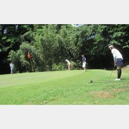 北谷津ゴルフガーデン（Ｃ）日刊ゲンダイ