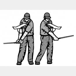 イラスト・ドラゴン２