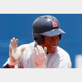 横浜の万波（Ｃ）日刊ゲンダイ