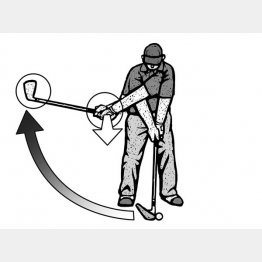 （イラスト・ドラゴン２）