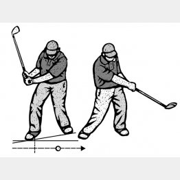 （イラスト・ドラゴン２）