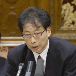 特区担当だった藤原豊審議官（Ｃ）日刊ゲンダイ