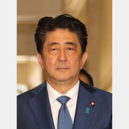 わざわざ訪米を検討（Ｃ）日刊ゲンダイ