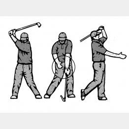 （イラスト・ドラゴン２）