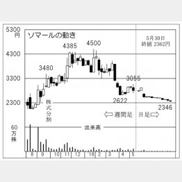 ソマール（Ｃ）日刊ゲンダイ