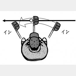 イラスト・ドラゴン２