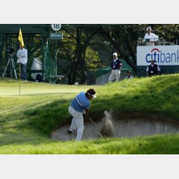 超名門コースでプレーできる（Ｃ）日刊ゲンダイ