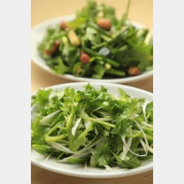 合う酒＝ビール、紹興酒、泡・白・ロゼワイン（Ｃ）日刊ゲンダイ