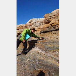 千畳敷（Ｃ）日刊ゲンダイ