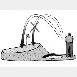 （イラスト・ドラゴン２）