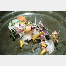 質のいい魚介類を用いた前菜（Ｃ）日刊ゲンダイ