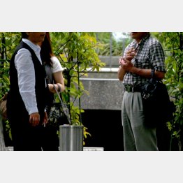 写真はイメージ（Ｃ）日刊ゲンダイ