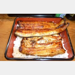 写真はイメージ（Ｃ）日刊ゲンダイ