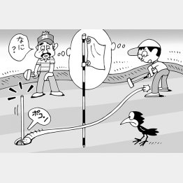 イラスト・小山混