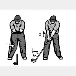 （イラスト・ドラゴン２）