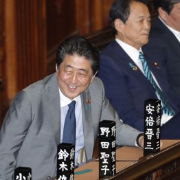 やることなすこと支離滅裂（Ｃ）日刊ゲンダイ