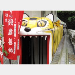 三寅の福・胎内くぐり（提供写真）