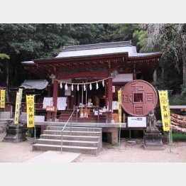 西武鉄道のＣＭロケ地としても注目された（提供写真）