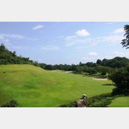 ゴルフ好きの人を偲ぶのに最適（提供写真）