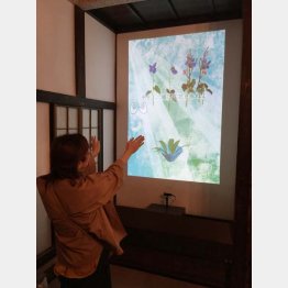 バーチャル生け花体験（Ｃ）日刊ゲンダイ