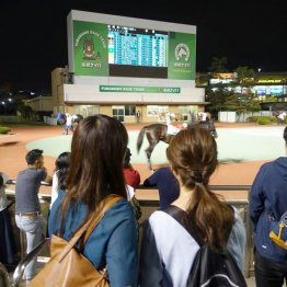 女性同士の客も（Ｃ）日刊ゲンダイ