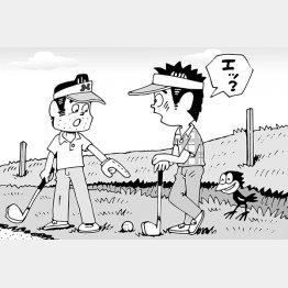 （イラスト・小山混）