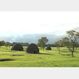 上野原遺跡（提供写真）