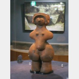 茅野市尖石縄文考古館（提供写真）