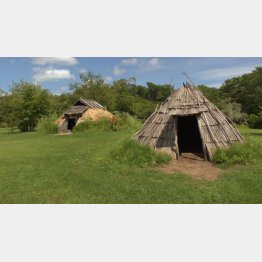 御所野遺跡（提供写真）