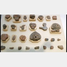 釈迦堂博物館（提供写真）