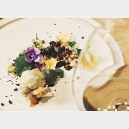 彩り鮮やかな「里山十帖」の野菜料理（Ｃ）日刊ゲンダイ