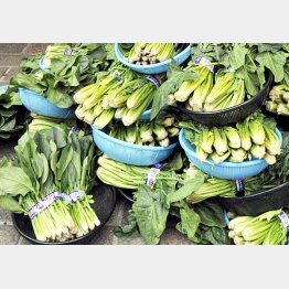 ホウレン草は有機農法のものを（Ｃ）日刊ゲンダイ