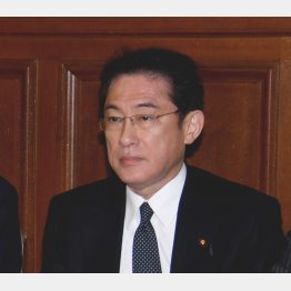 岸田政調会長（Ｃ）日刊ゲンダイ