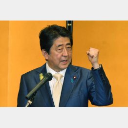 ブルーリボンバッジは政権浮揚の“お守り”（Ｃ）日刊ゲンダイ