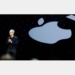 アップルのティム・クックＣＥＯ（Ｃ）ロイター