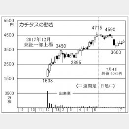 カチタス（Ｃ）日刊ゲンダイ