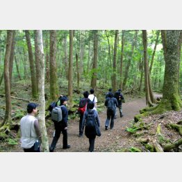 写真はイメージ（Ｃ）日刊ゲンダイ