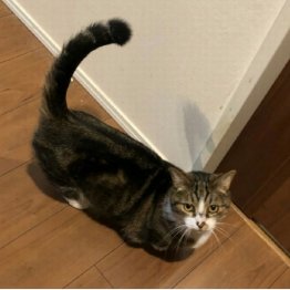 相手に気を許しているサイン（Ｃ）日刊ゲンダイ