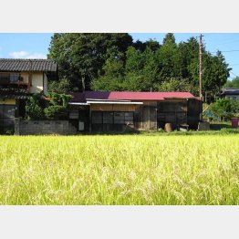 空き家を有効利用（Ｃ）日刊ゲンダイ