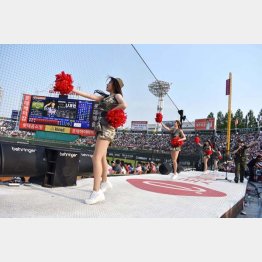 釜山サジク球場（Ｃ）日刊ゲンダイ