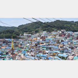 甘川文化村（Ｃ）日刊ゲンダイ