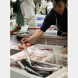 北海道釧路市の市場に並ぶ初物のサンマ（Ｃ）共同通信社